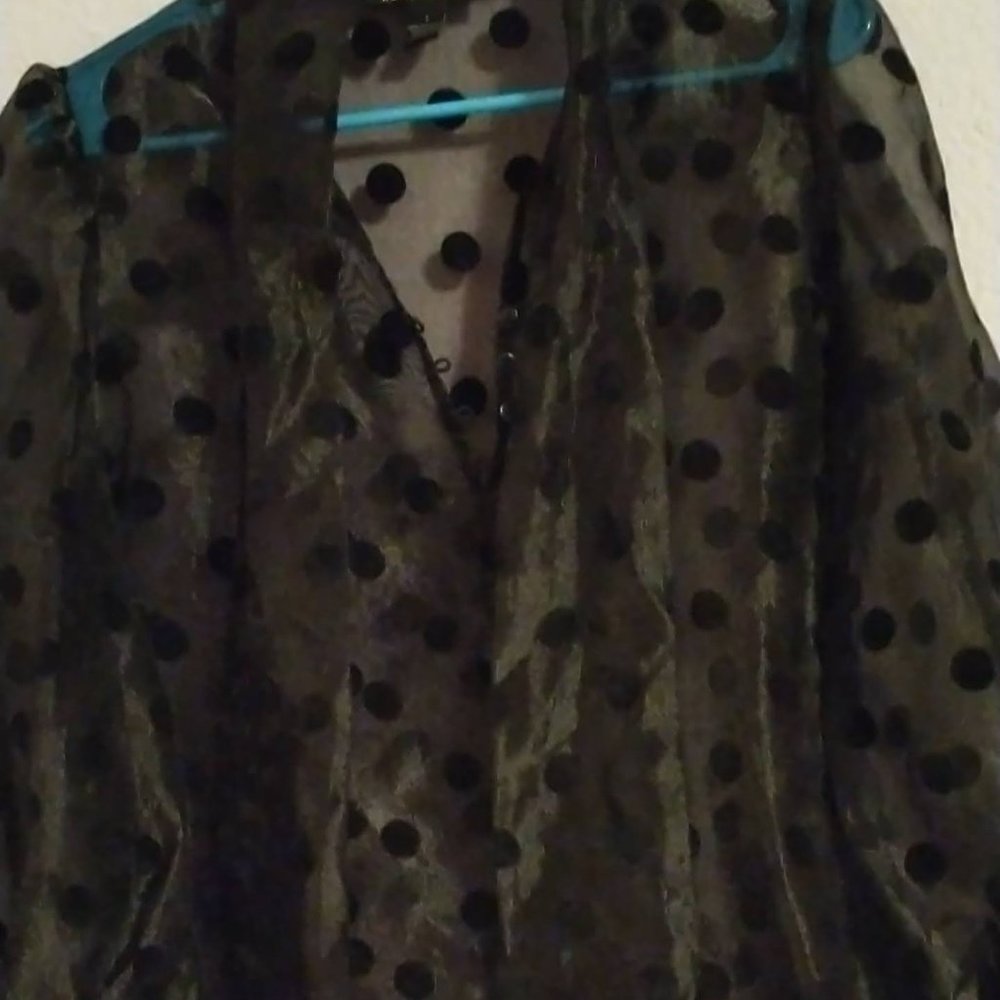 Black organza polka dot blouse